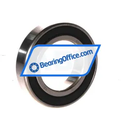 SKF W6007-2RS1