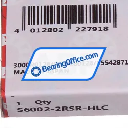 FAG S6002-2RSR-HLC rulman resim 4