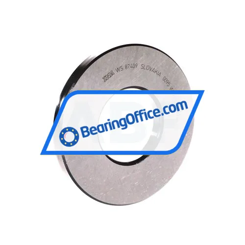 INA WS87409
