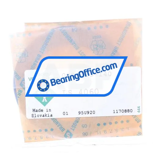 INA LS4060 bearing image 2