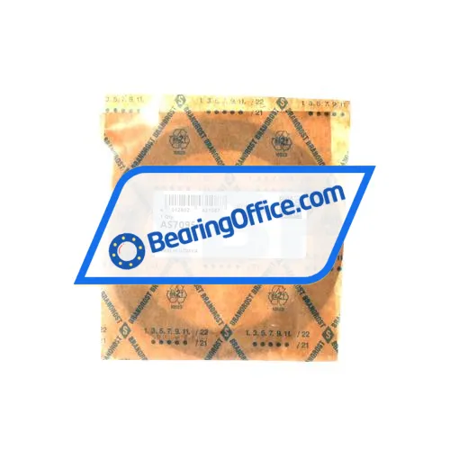 INA AS7095 bearing image 2