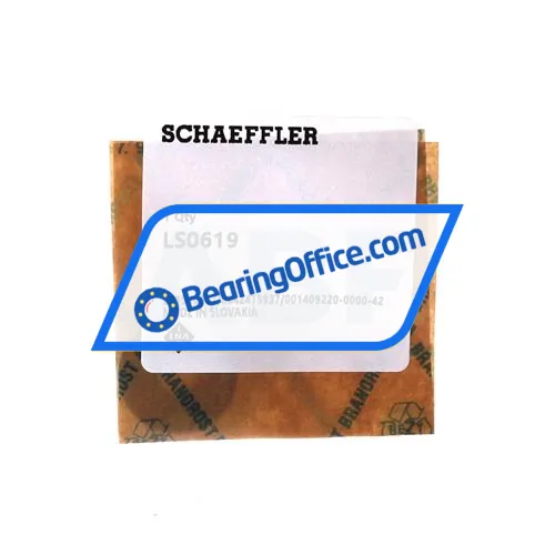 INA LS0619 bearing image 2