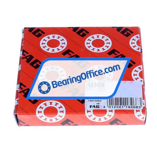 FAG U308