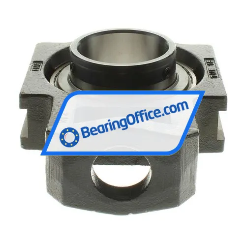 INA RTUEY75 bearing image 3