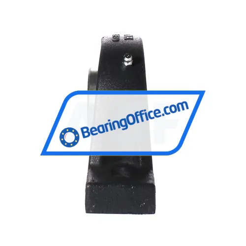 INA RASEL45-XL bearing image 2