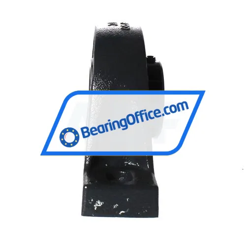 INA RASEY60-XL-N bearing image 2