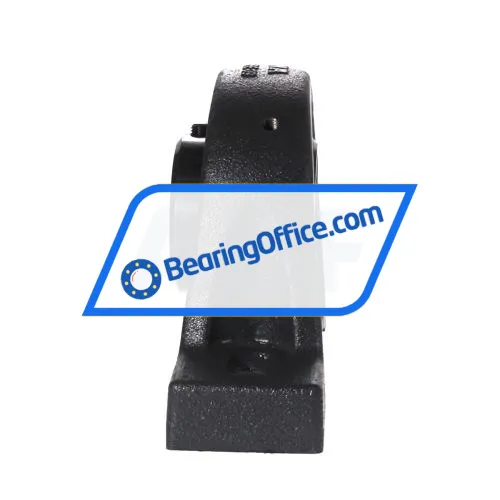 INA RASEY45-XL bearing image 2