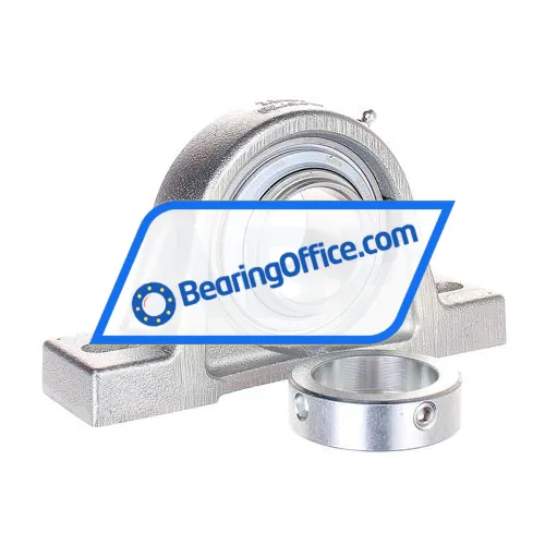 INA RASE45-XL-FA125 bearing image 2