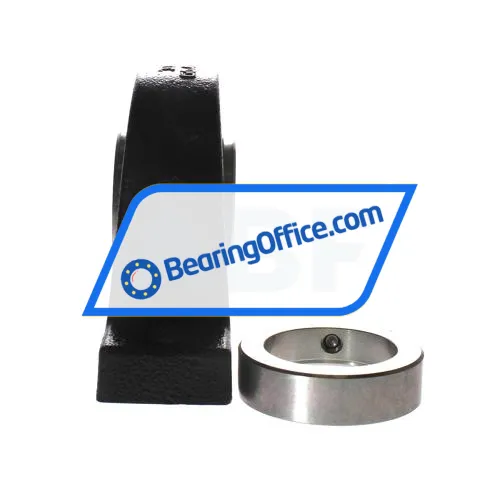 INA RASE60-XL-N bearing image 2