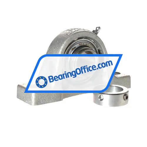 INA RASE25-XL-N-FA125