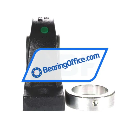 INA RASE55 bearing image 2