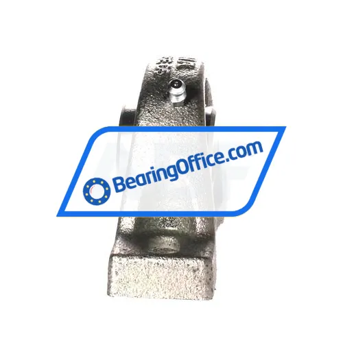 INA RASEL25-XL-N bearing image 2