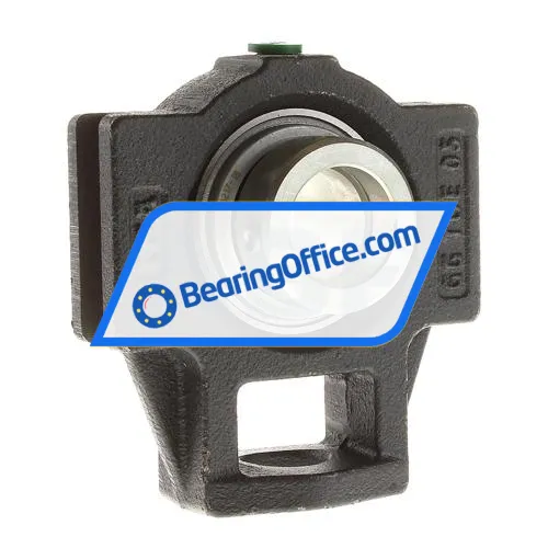 INA TTUE25 bearing image 2