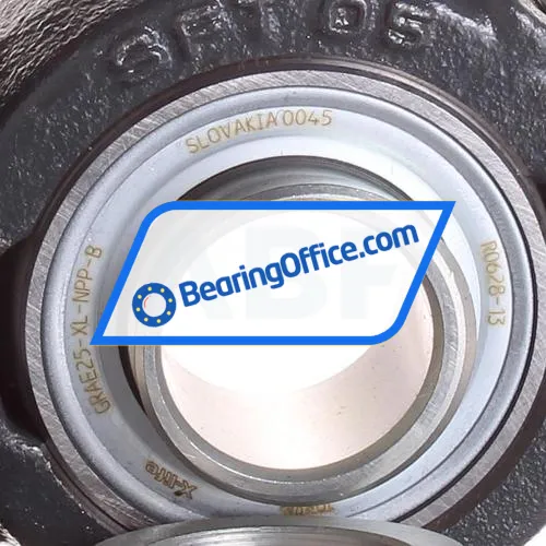 INA PSFT25-XL bearing image 2