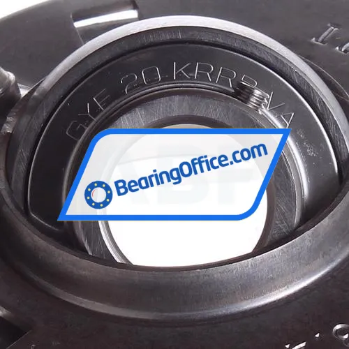 INA GRRY20-VA bearing image 2