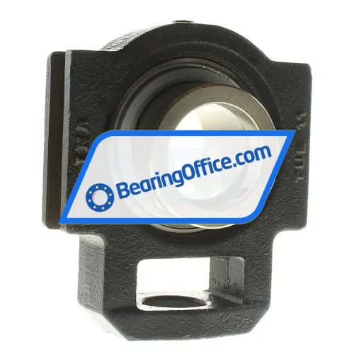 INA TTUE55 bearing image 2