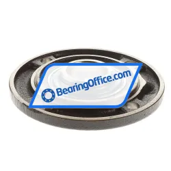 INA RFE35 rulman resim 2