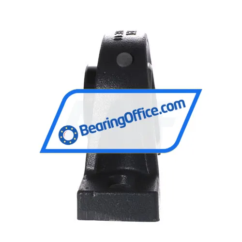 INA RASEY55 bearing image 2