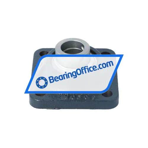 INA TCJ25-XL-N bearing image 2