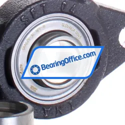 INA PSFT20-XL rulman resim 2