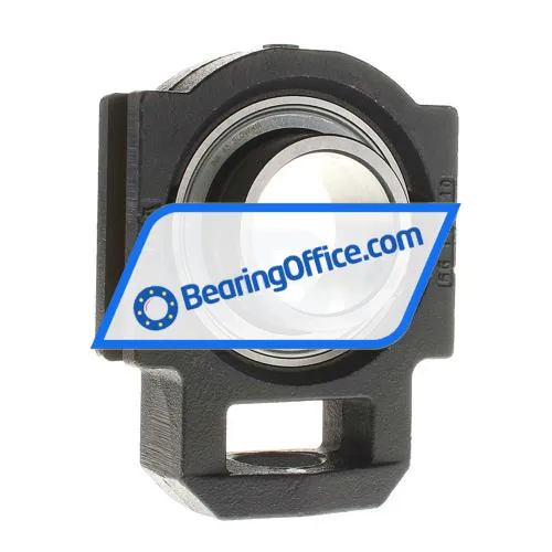 INA PTUEY50 bearing image 2