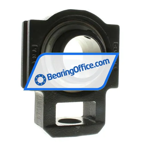 INA RTUEY60 bearing image 2