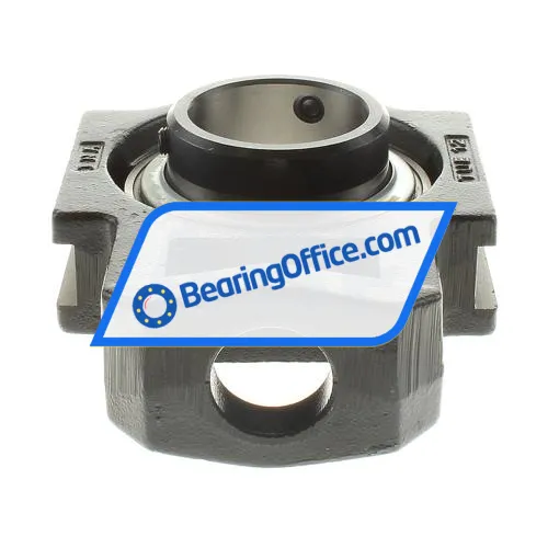 INA RTUEY60 bearing image 3