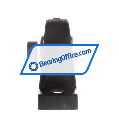 INA RASE50-GGG bearing image 2