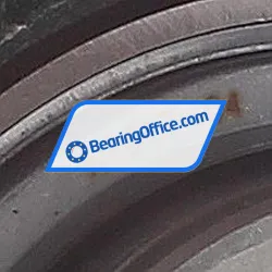 INA RASE50-GGG rulman resim 4