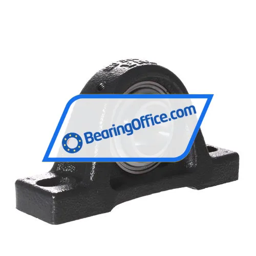 INA RASEY25-XL-N bearing image 3