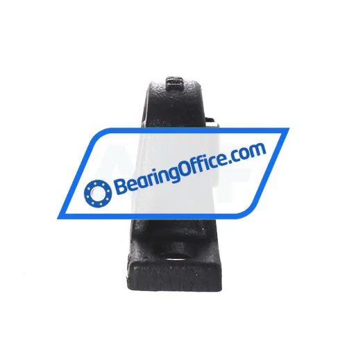 INA RASEY15-XL bearing image 2