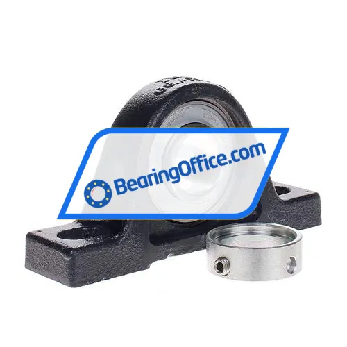 INA PASE30-N-FA106-I