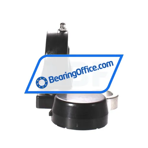 INA PASE25-TV-FA125-5 bearing image 2