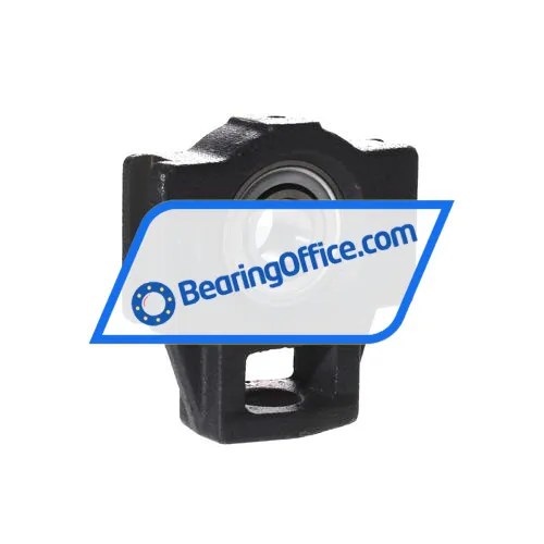 INA PTUEY20-XL bearing image 3
