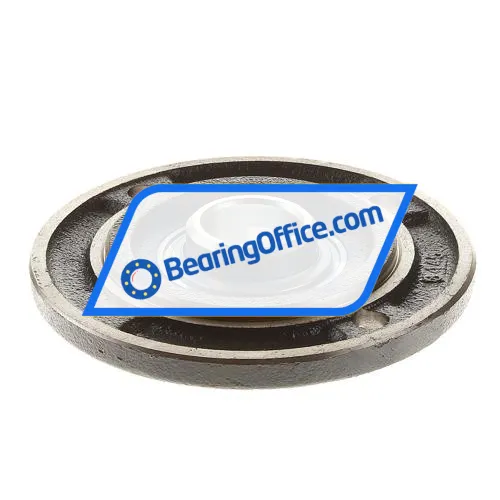 INA RFE25 bearing image 2