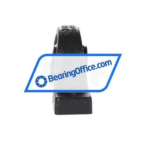 INA RASEY20-XL-N bearing image 2