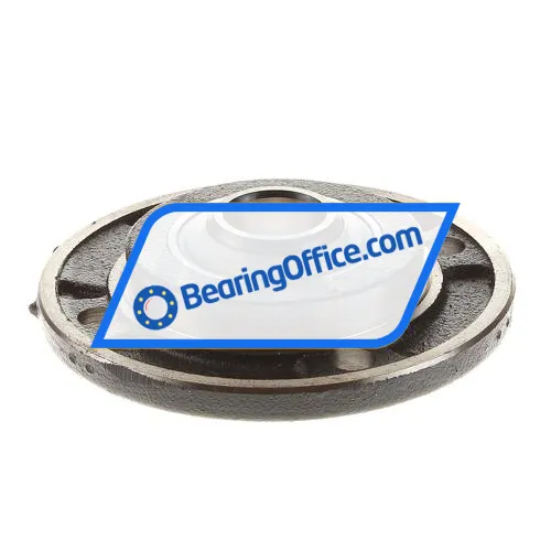 INA RMEY20-N bearing image 2