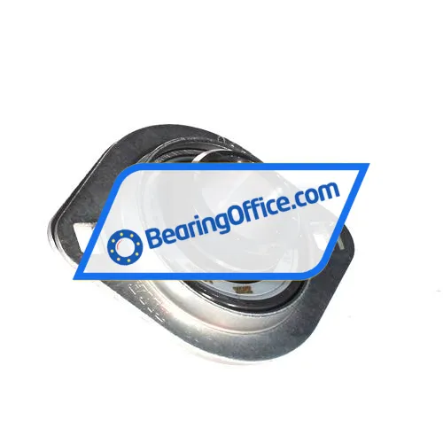 INA RATY25-XL bearing image 2