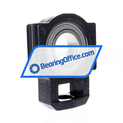 INA PTUE60-XL bearing image 2