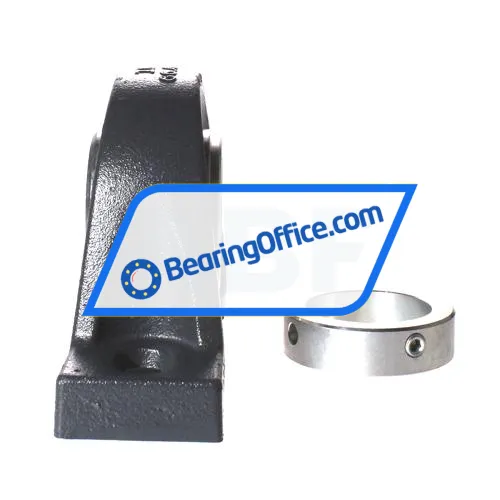 INA RASE55-XL bearing image 2