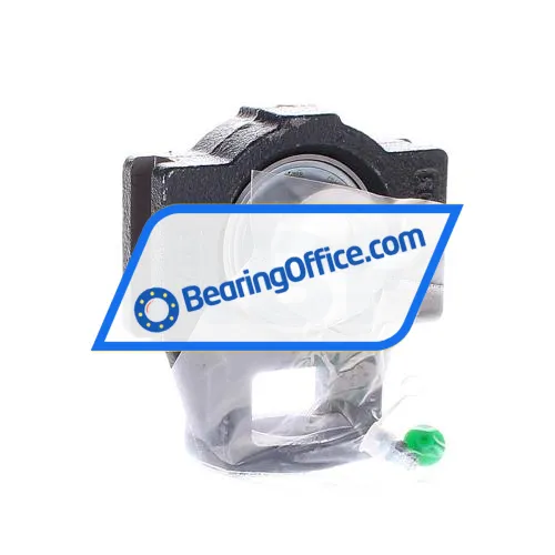 INA PTUE25-XL bearing image 3