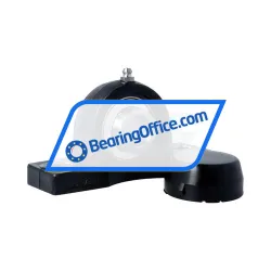 INA RASEY20-TV-VA-HLA rulman resim 2