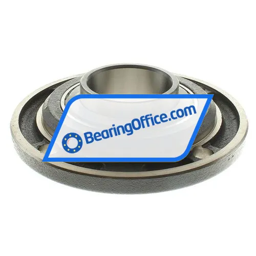 INA RMEY75 bearing image 2