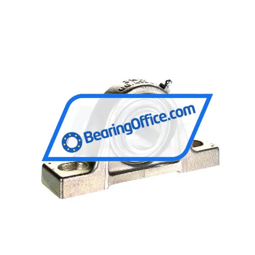 INA RASE30-XL-N-FA125