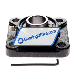 Felstrom UCF205 rulman resim 2