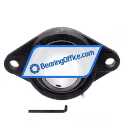 Felstrom UCFL215 rulman resim 3