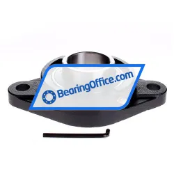 Felstrom UCFL213 rulman resim 5