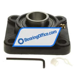 Felstrom UCF205-16 rulman resim 2