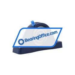 RHP NP25ECHLT rulman resim 2