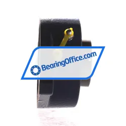 SKF F2B115-TF rulman resim 2